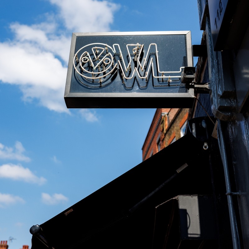 Owl April 25-9