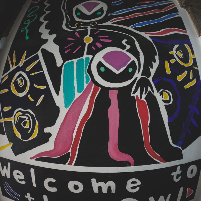 Owl June 25-30